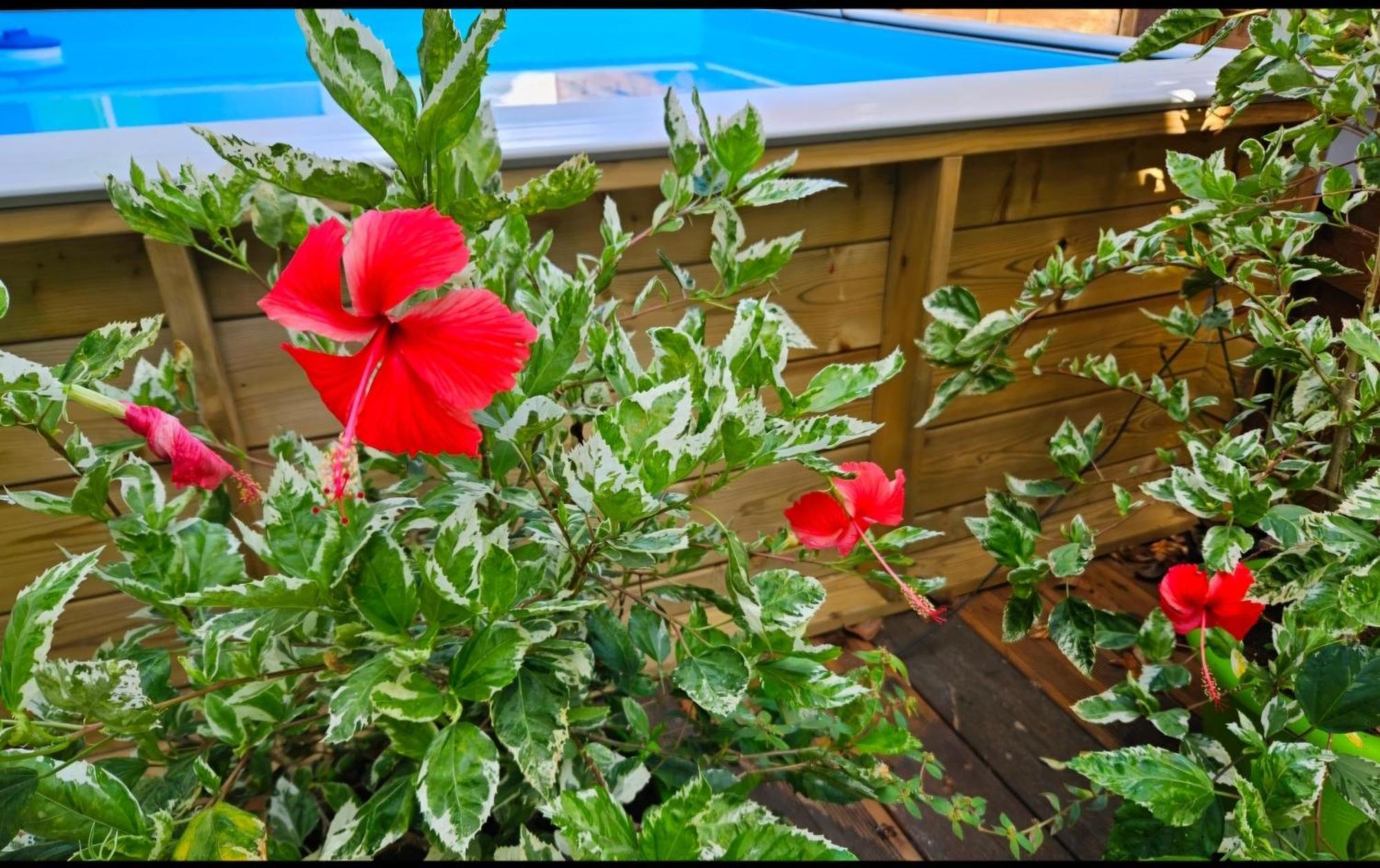 Gite Rubis Passion Port-Louis Extérieur photo