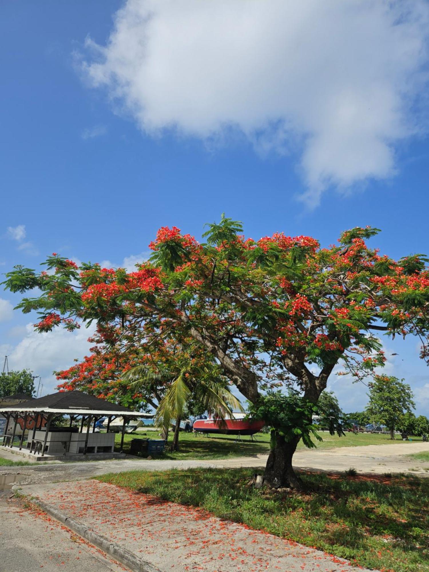 Gite Rubis Passion Port-Louis Extérieur photo